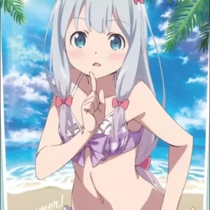 Set of 12 Links - Animanga Clear File & Doujinshi