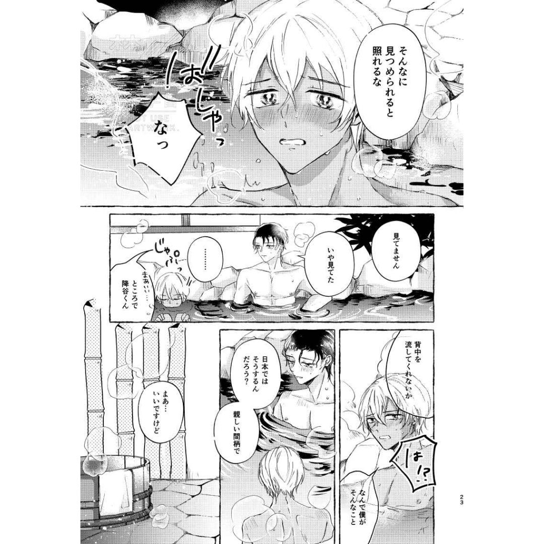 Doujin Detective Conan This Love will Not Wake Up - A5/60p (Doujinshi Parody)
