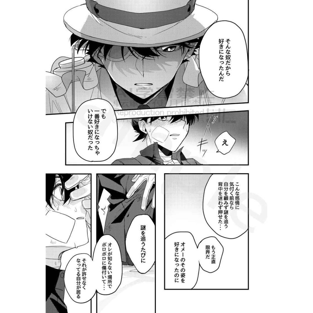 Doujin Detective Conan COLLECTED - B5/384p (Doujinshi Parody)