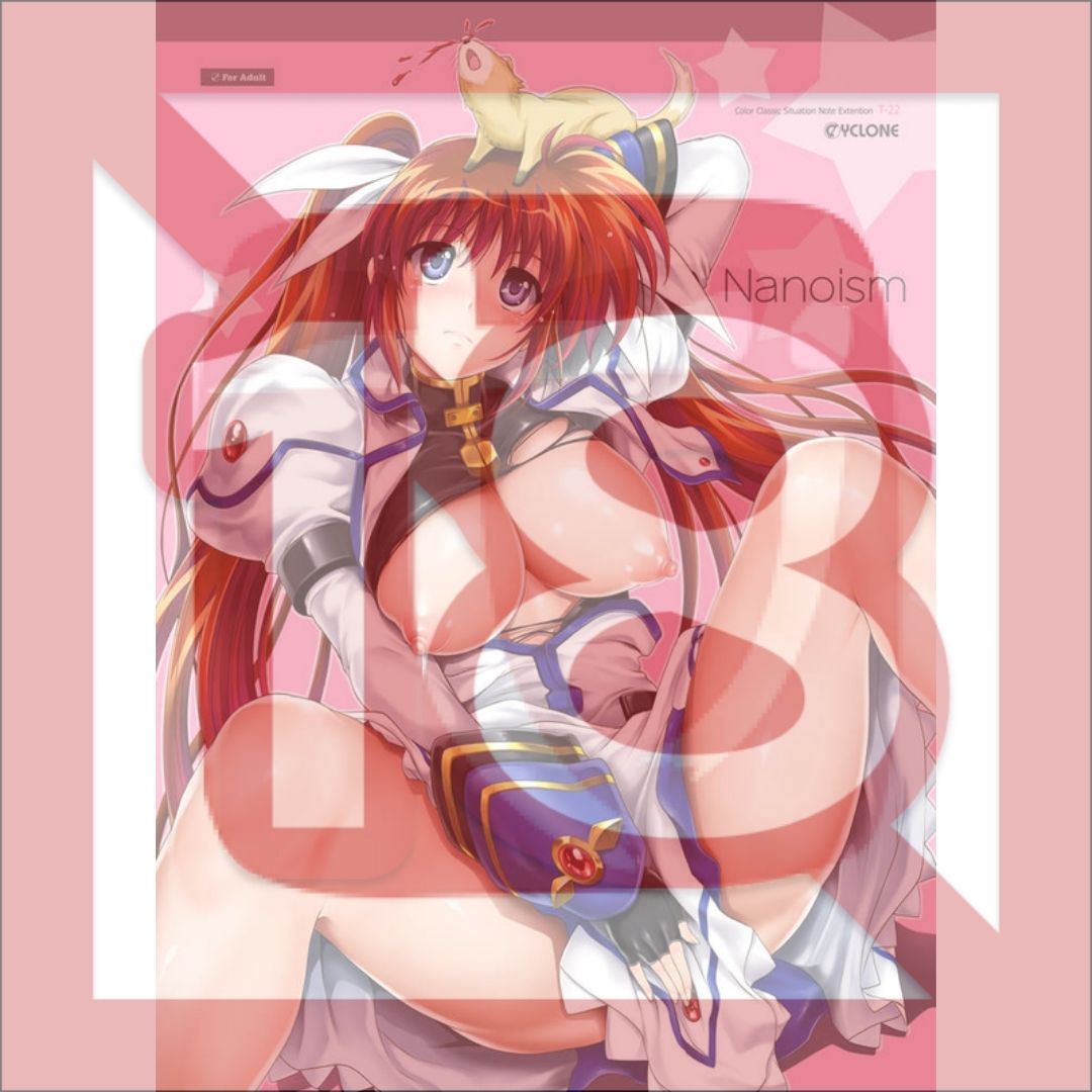 Takamachi Nanoha Doujinshi T-22 Nanoism Magical Girl Lyrical Nanoha 48