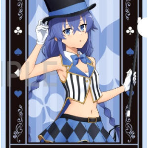 Set of 13 Animanga Clear File, Character Card, Paper goods