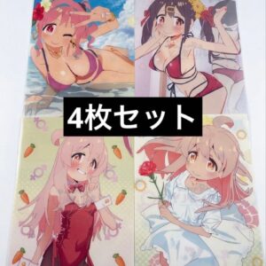 Set of 5 Animanga Clear File, Visual Board