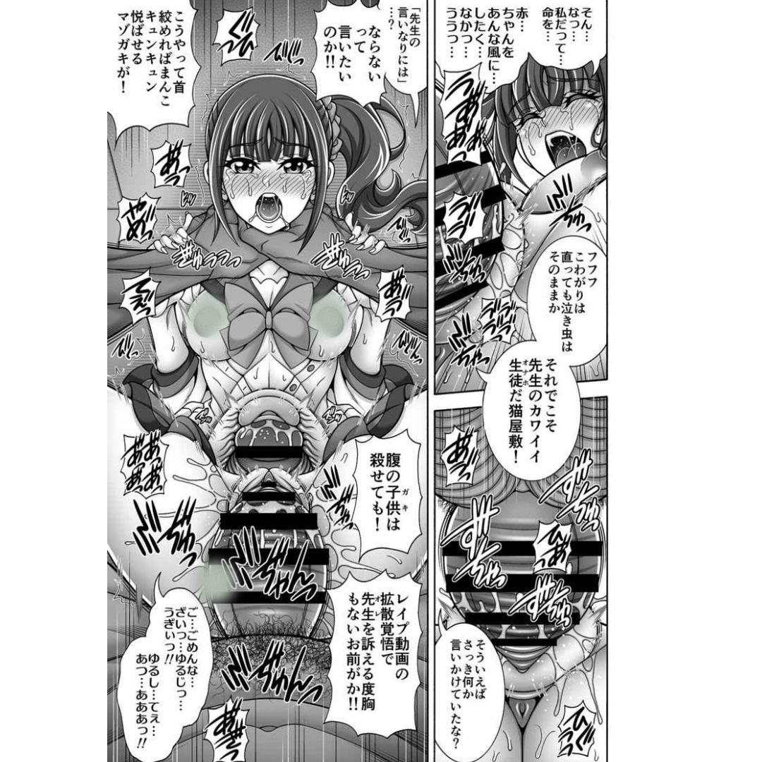 PreCure Cat Owner Pregnant Doujinshi Manga Jepang B5 Edisi 24 Halaman