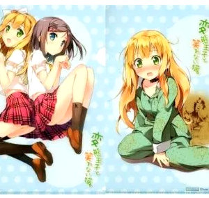 Set of 15 Clear File (Link Suruga-ya)