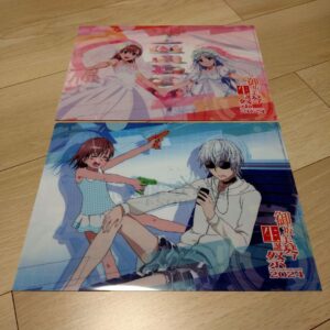[Set of 5] Animanga Clear File